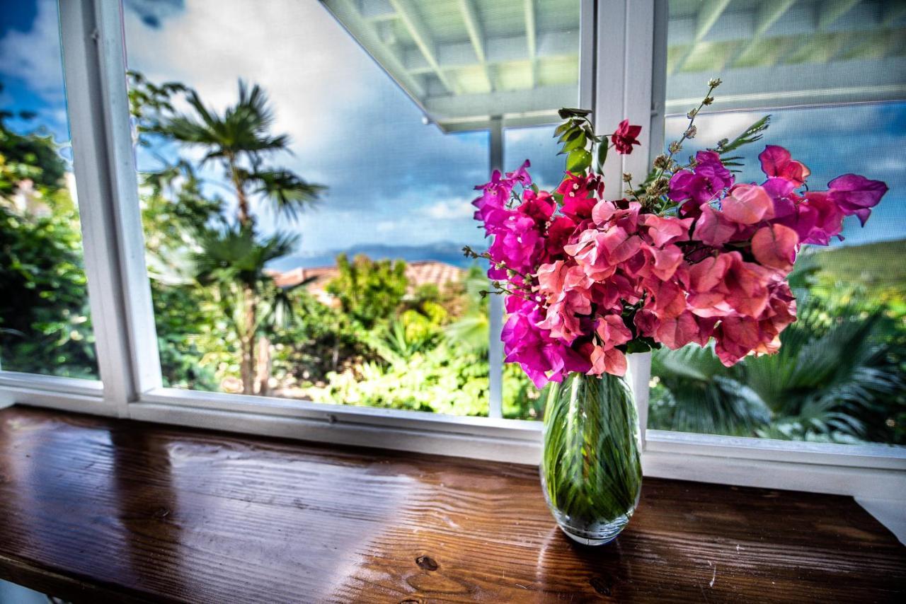 Papaya Suite At Sunset Serenade Cruz Bay Buitenkant foto